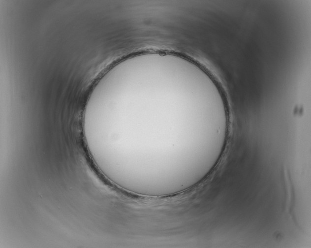 X0000112150009200908281350