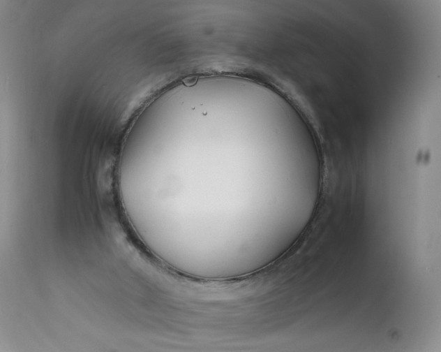 X0000112150010200908281350