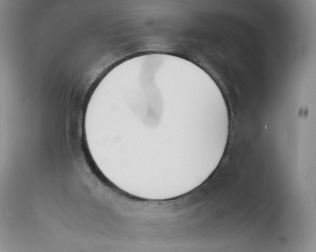 X0000112150011200908281350