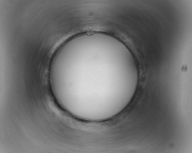 X0000112150012200908281350