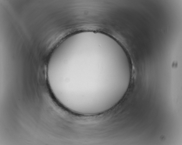 X0000112150013200908281350