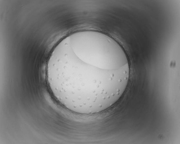 X0000112150014200908281350