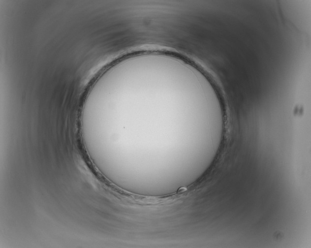 X0000112150015200908281350