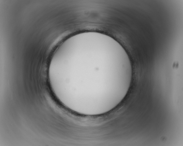 X0000112150016200908281350