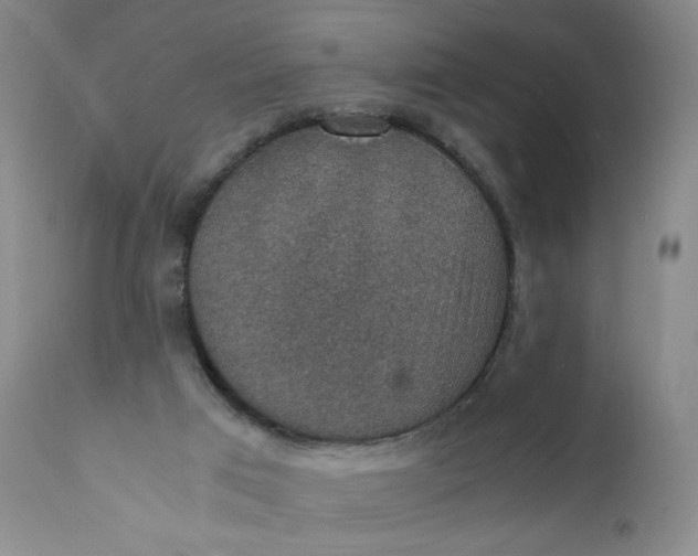 X0000112150017200908281350