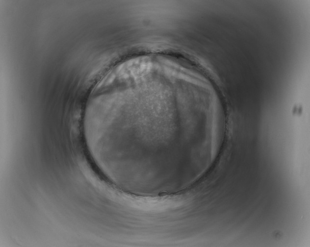 X0000112150018200908281350