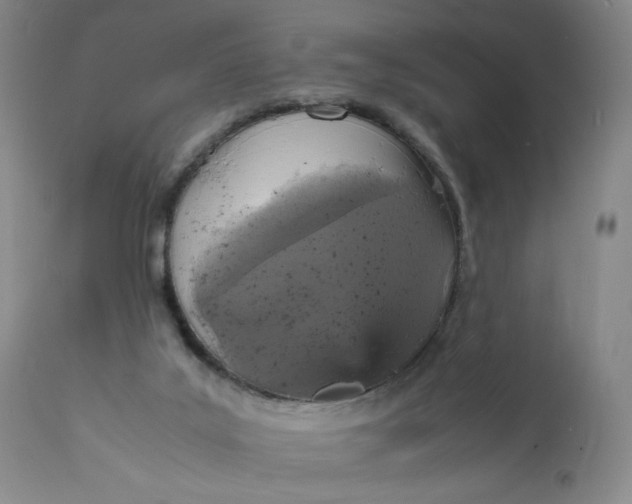 X0000112150019200908281350