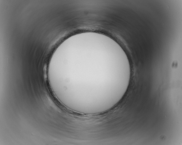 X0000112150020200908281350