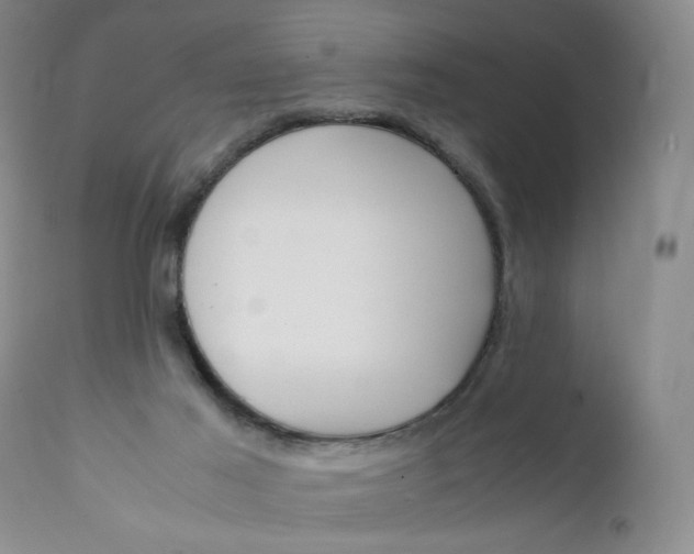 X0000112150021200908281350