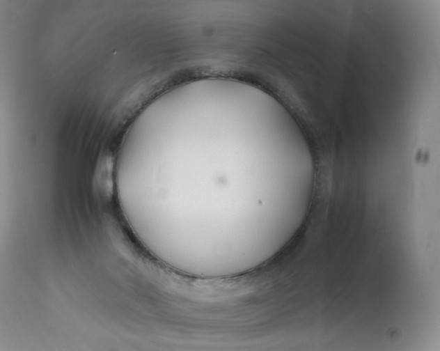 X0000112150022200908281350