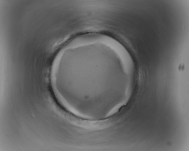 X0000112150023200908281350