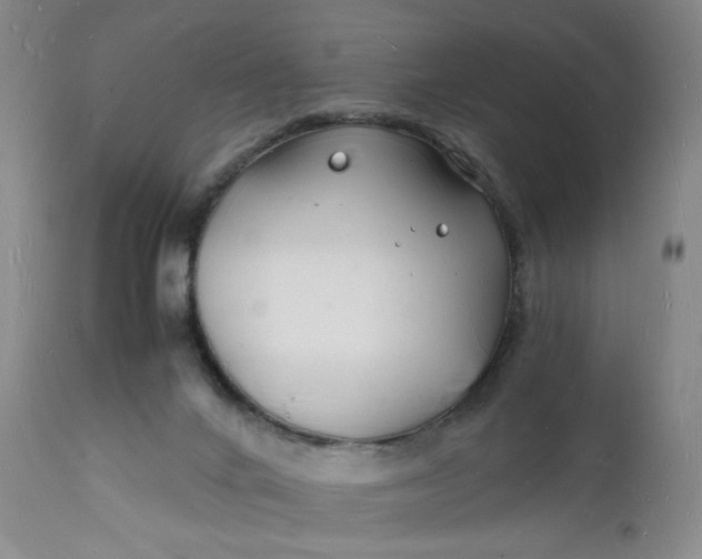 X0000112150024200908281350