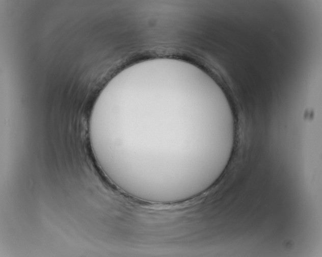 X0000112150025200908281350