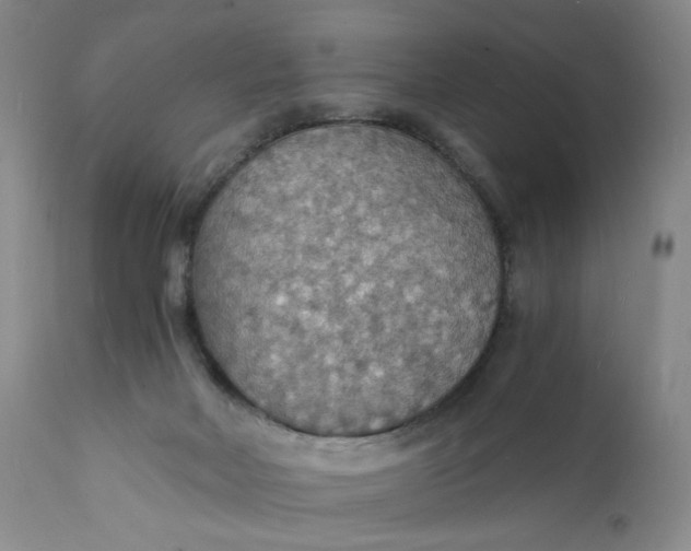 X0000112150026200908281350