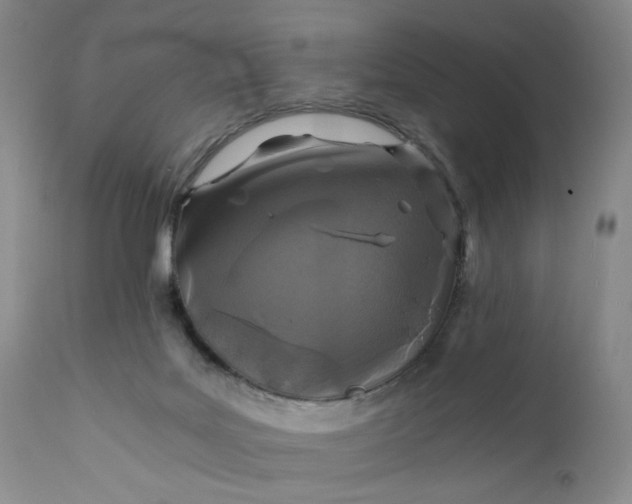 X0000112150027200908281350