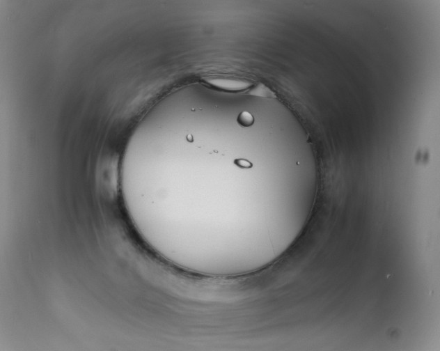 X0000112150028200908281350