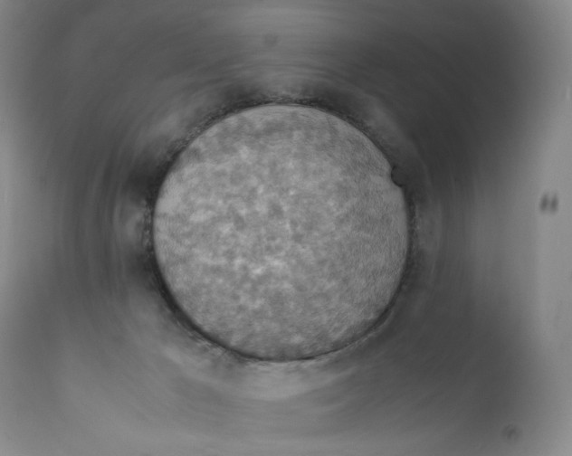 X0000112150029200908281350