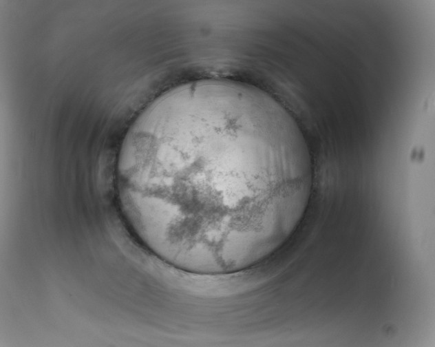 X0000112150030200908281350