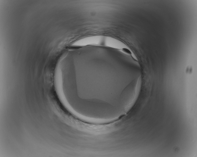 X0000112150031200908281350