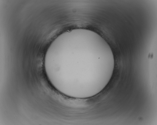 X0000112150032200908281350