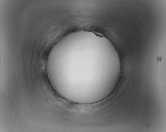 X0000112150033200908281350