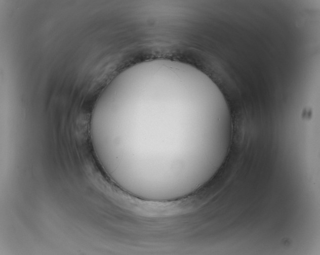 X0000112150034200908281350