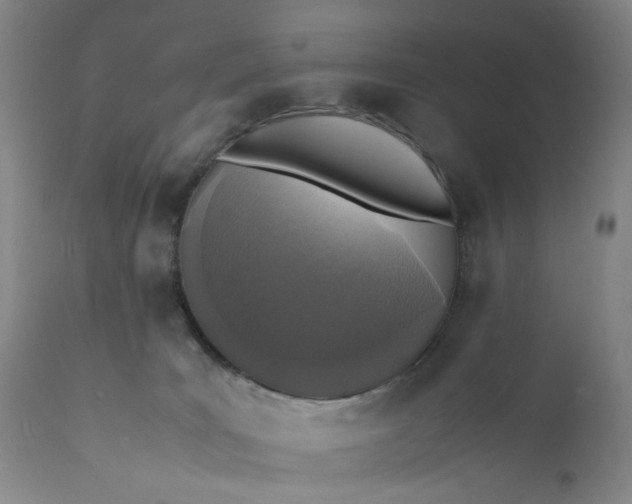 X0000112150035200908281350