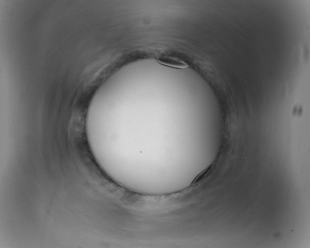 X0000112150037200908281350