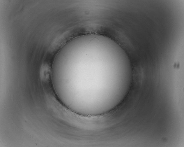 X0000112150038200908281350