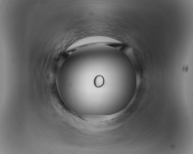 X0000112150039200908281350