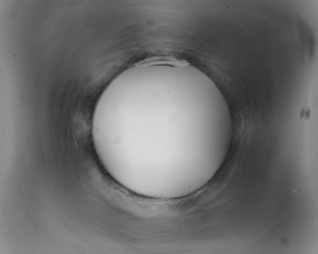 X0000112150040200908281350