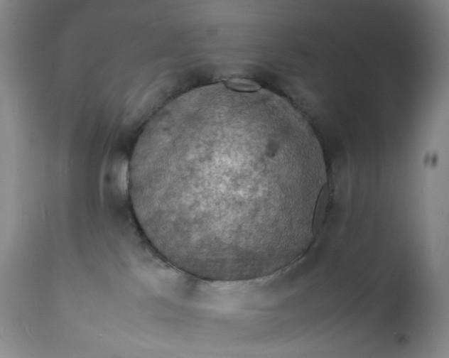 X0000112150041200908281350