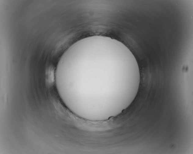 X0000112150042200908281350