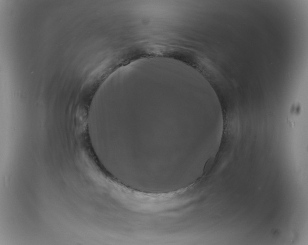 X0000112150043200908281350