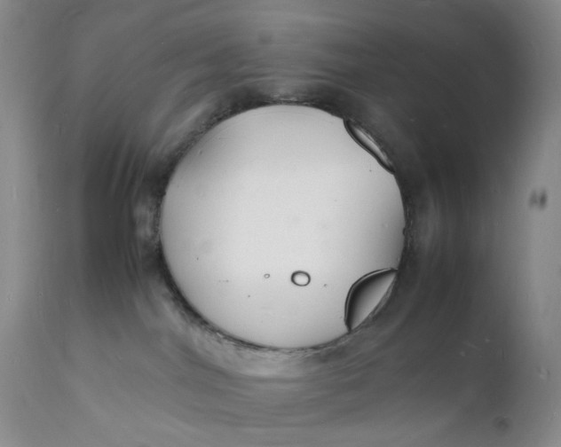 X0000112150044200908281350