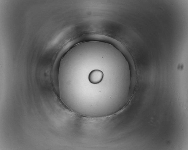 X0000112150045200908281350