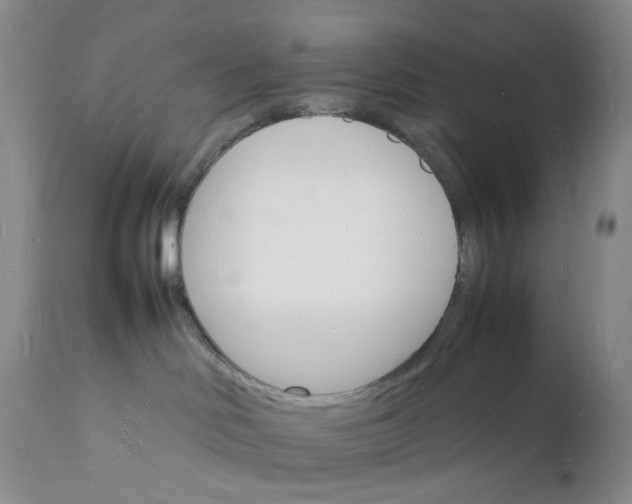 X0000112150046200908281350