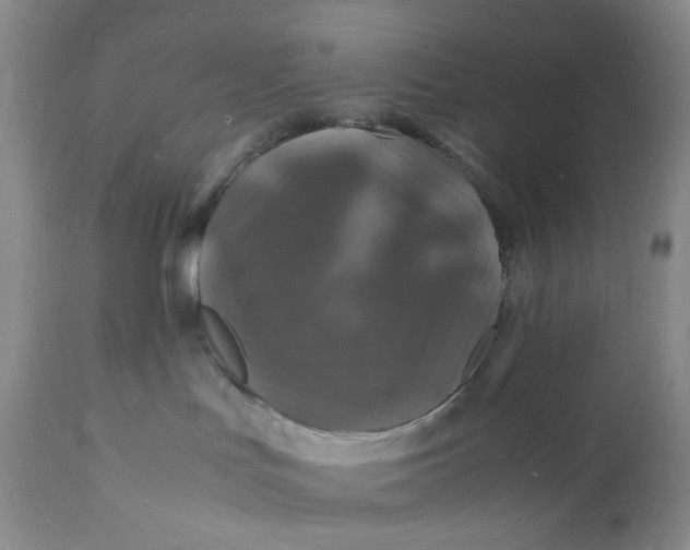 X0000112150047200908281350