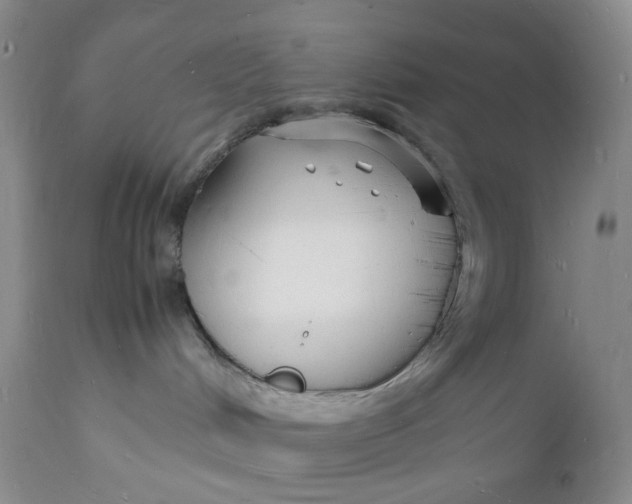 X0000112150048200908281350