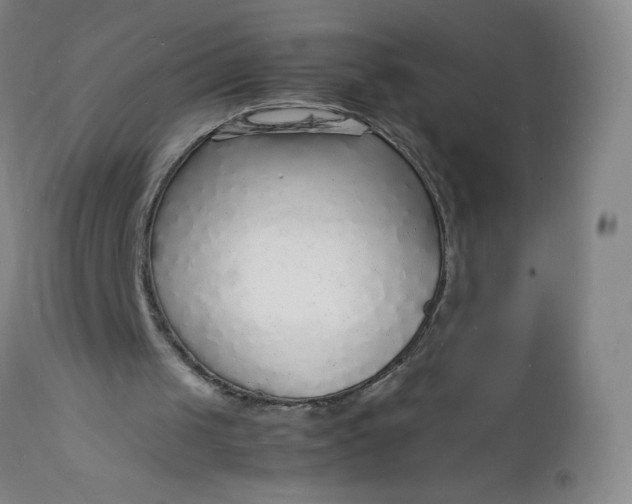 X0000112150049200908281349