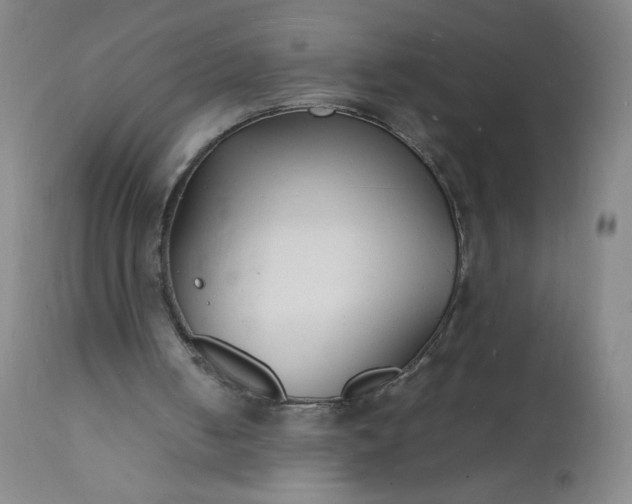 X0000112150050200908281349