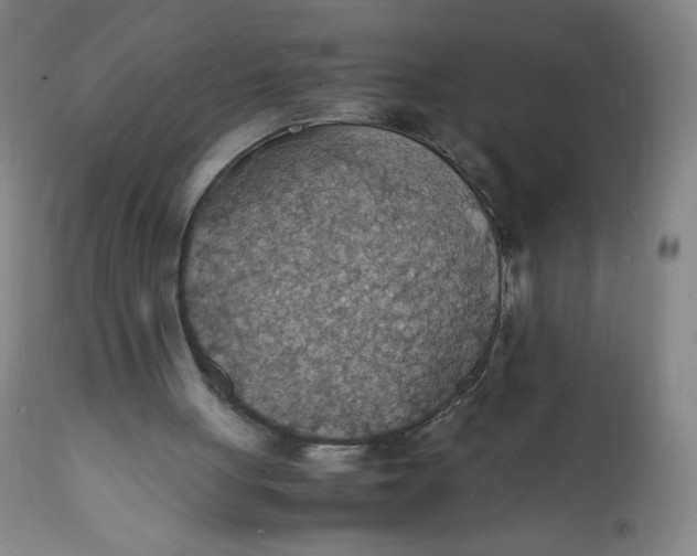 X0000112150051200908281349