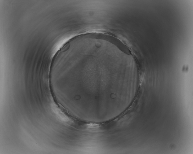 X0000112150052200908281349