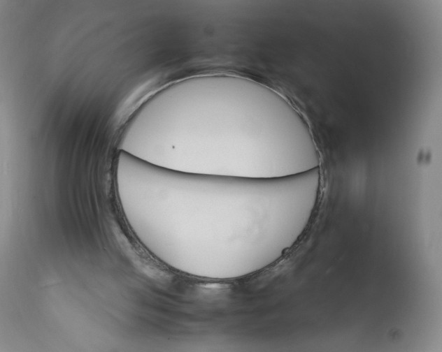 X0000112150053200908281349