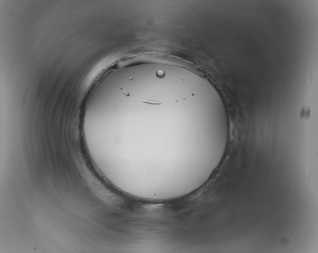 X0000112150054200908281349