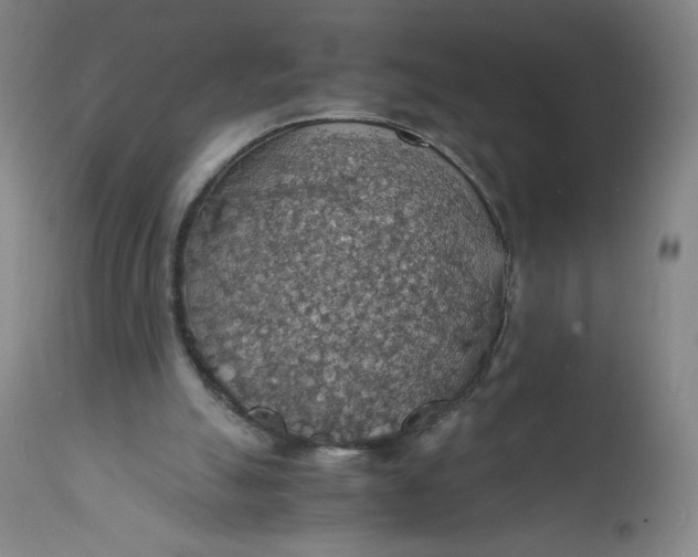 X0000112150055200908281349