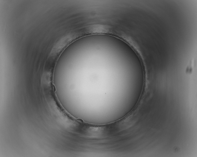 X0000112150057200908281349