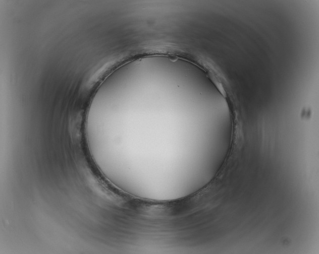 X0000112150058200908281349