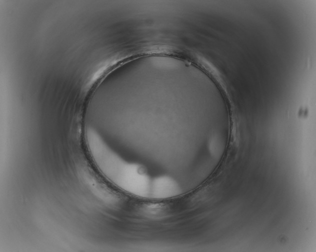 X0000112150059200908281349