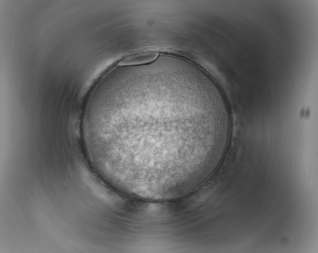 X0000112150060200908281349